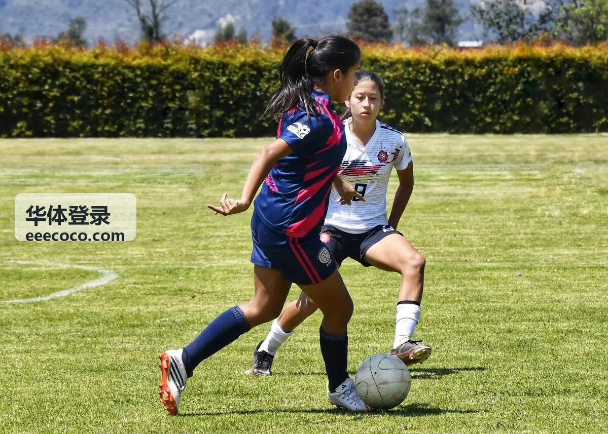 华体登录成长数据看板内容封面